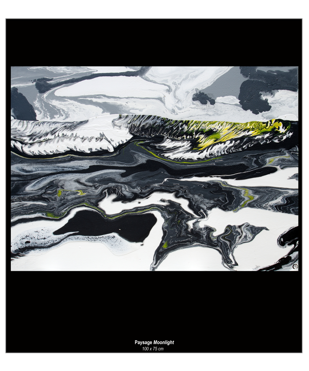 Francois Otte Artiste Peintre, domaine du chasseur, o dodo art gallery ltd, malcolm de chazal, hotel riu le morne