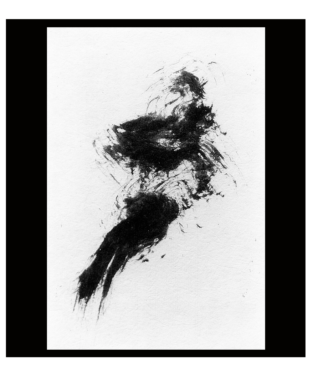 Page_Painting_Encre_de_Chine_img310_Francois_Otte_8